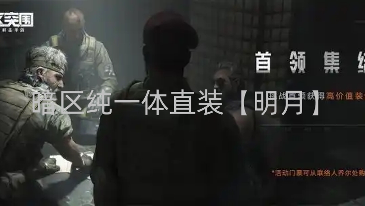 暗区纯一体直装【明月】
